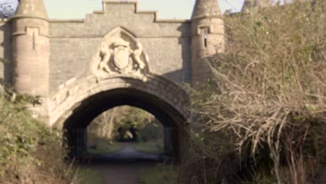 healthy green forest surrounded the stone bridge under the sunny weather in northern ireland. -wide shot