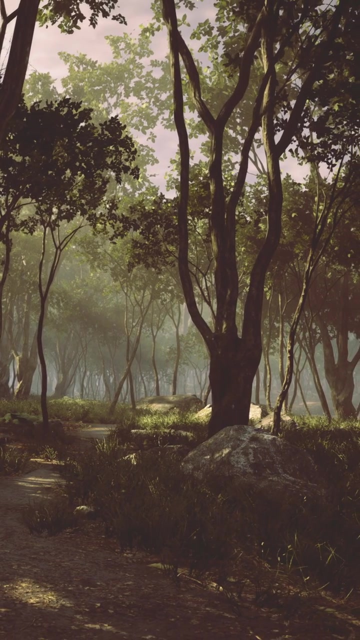 Scena di bosco con alberi e sentiero di giorno in un ambiente naturale.
