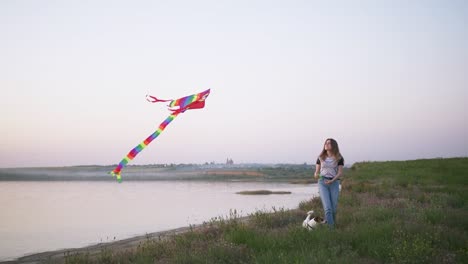 young happy woman and het little dog walking with flying kite on a glade at sunset, slow motion