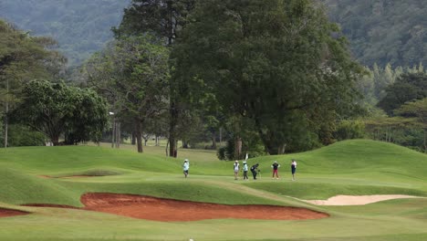 golfers enjoying a game on a lush course