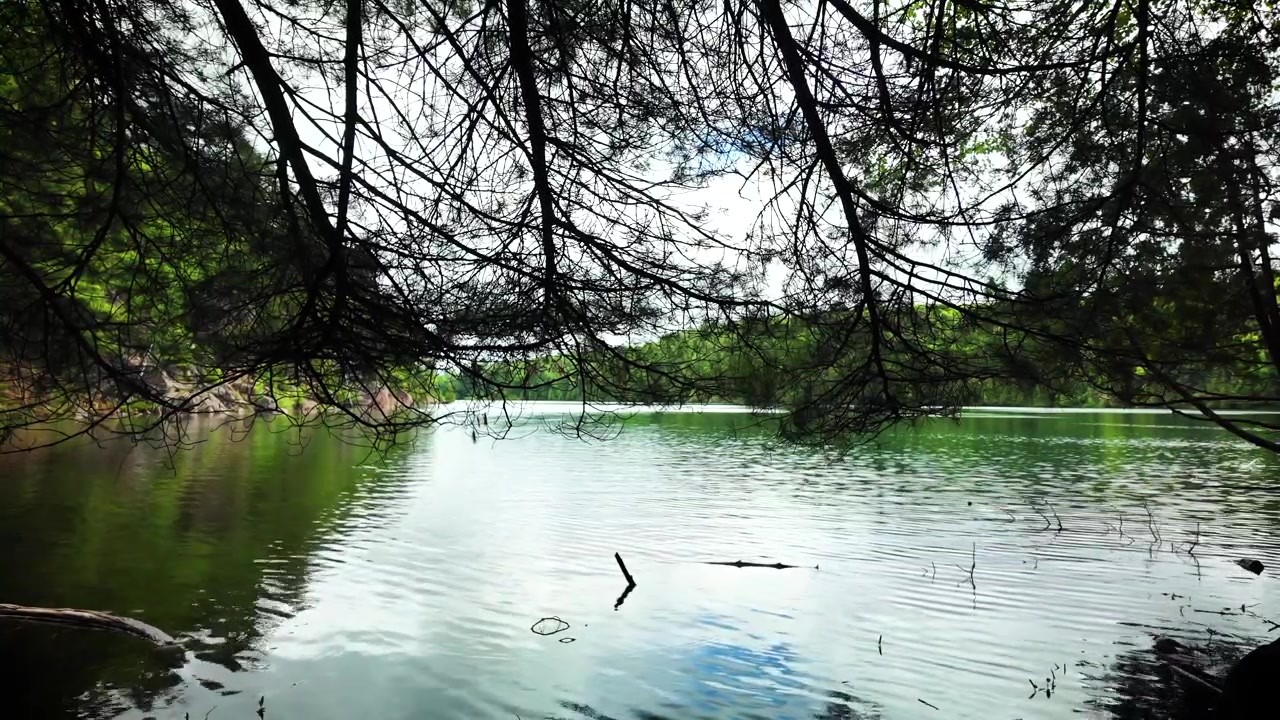Smuk indrammet udsigt over Pink Lake gennem omkringliggende træer og grene inde i Gatineau Park. Stille ferskvandssø med smaragdgrønne refleksioner og frodig canadisk skov, der skaber en fredfyldt vildmark.