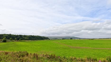 panoramic view of green fields and hills