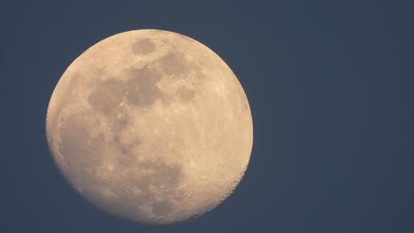 beautiful moon - close up  .zoom