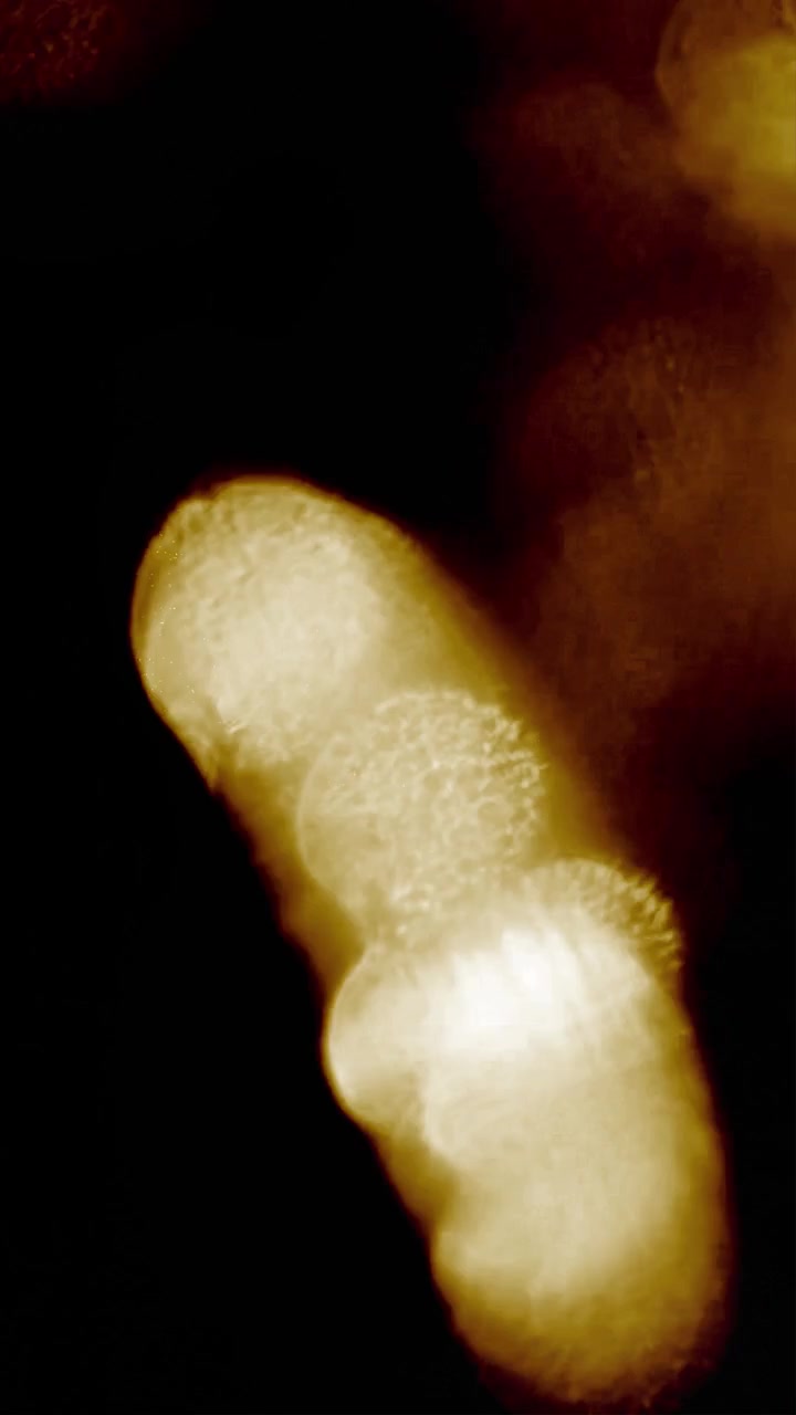 Fughe di luce e sovrapposizioni bokeh astratte su sfondo scuro