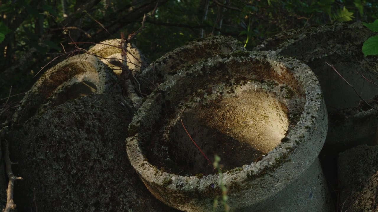 Tubos de concreto desgastados empilhados em vegetação densa captam um raio quente de luz solar noturna na tranquila natureza norueguesa