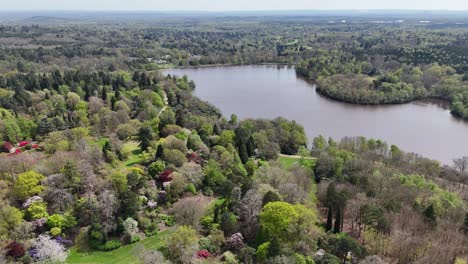 Panorámica-Drone-Aéreo-Virginia-Waters-Windsor-Great-Park-Surrey,-Inglaterra-En-Primavera