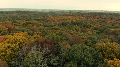 Drone-flight-over-fall-forest-in-Canada