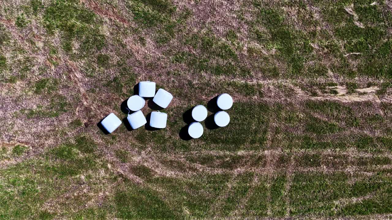 Aerial top-down shot showing dry grass tightly packed with white foliage across a field