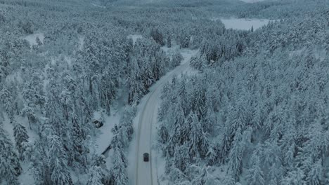 Snowy-landscape-in-Norway-with-snow-covered-tree-tops