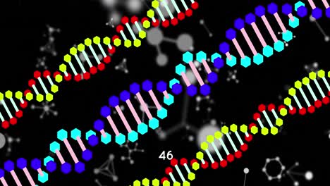 Colorful-dna-structures-spinning-against-molecular-structures-on-black-background