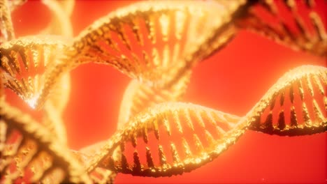estructura de la animación de doble hélice de adn