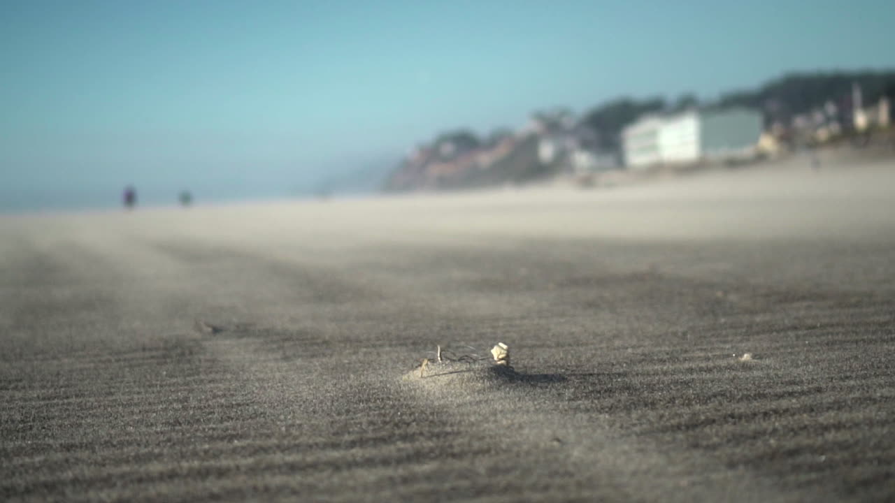 Particles of sand going across the beach floor