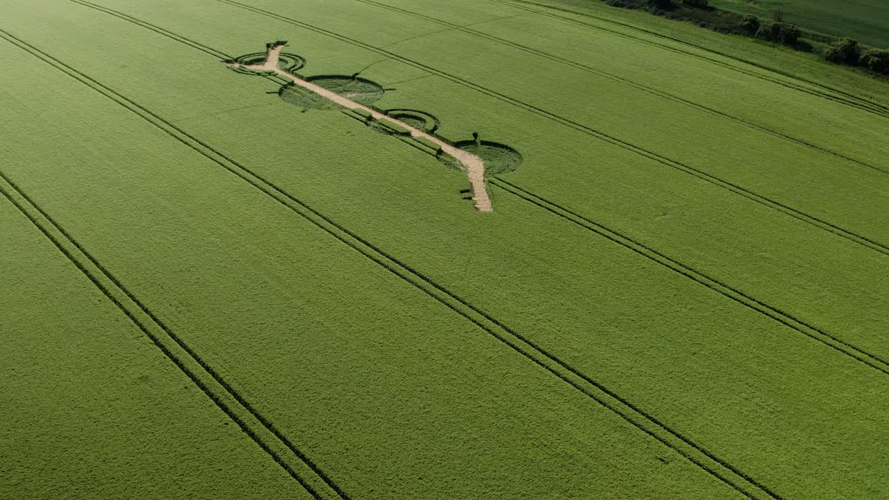 vista aérea del círculo de cosechas de winterbourne basset mirando hacia abajo en el patrón del campo de cebada destruido por el granjero de wiltshire