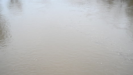 river flood at the floodplains in europe