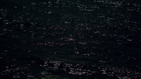 night sea