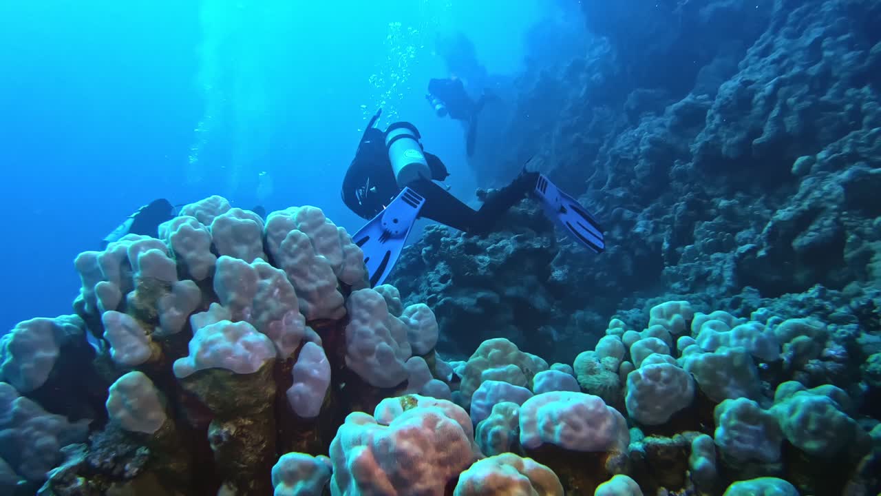 상당한 깊이에서 그룹의 스쿠버 다이버