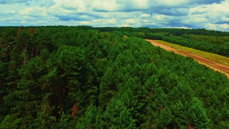 aerial: forest with hidden russian bunker and farm field located near polish-ukrainian border and ii ww molotov line, with heavy clouds