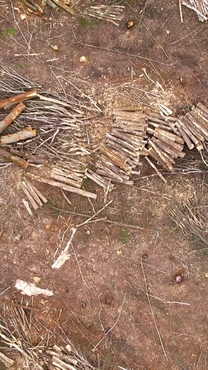 An aerial topdown perspective showing stacked logs and branches on the forest floor, documenting industrial logging and environmental impact