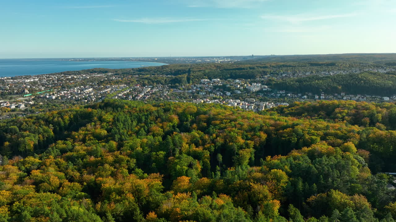 Aerial View of Coastal Town Surrounded by Autumn Forest