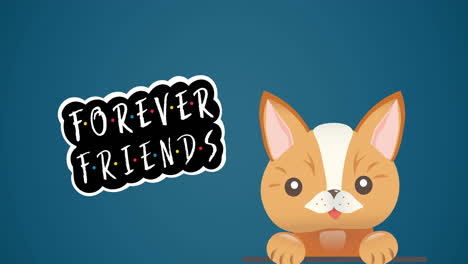 animation of forever friends text with cute cat on blue background