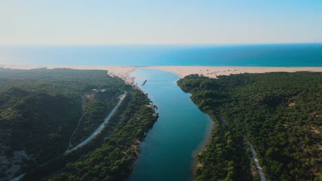 aerial view of a river flowing through lush greenery to the ocean. stunning natural landscape.