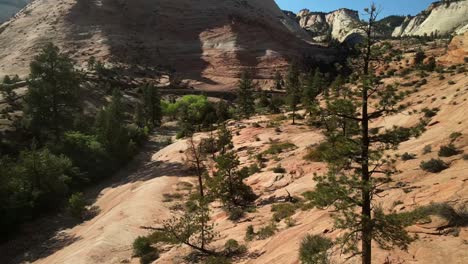 a zooming-in cinematic drone shots capture the intricate details of the red rock formations in zion national park