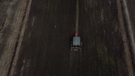 Tractor-working-in-a-paddy-field-aerial-top-down-shot