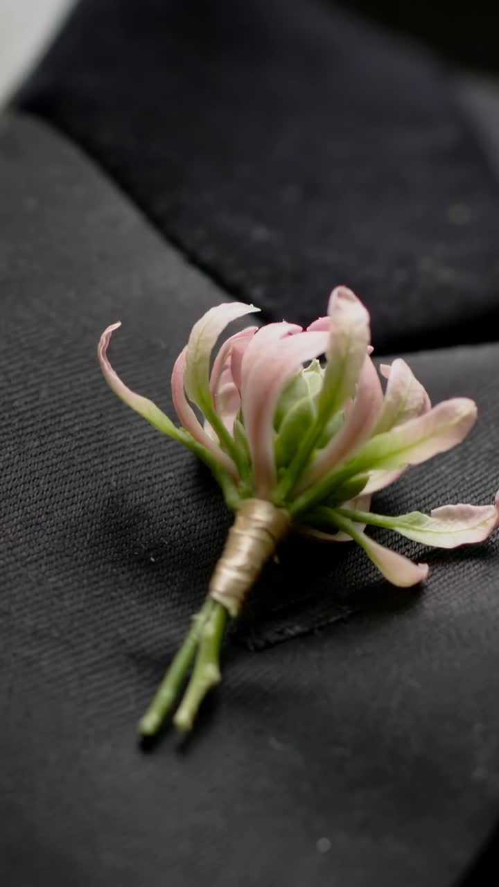 Vídeo vertical: câmera panorâmica mostrando pétalas e fita dourada em uma flor de lapela rosa em um paletó