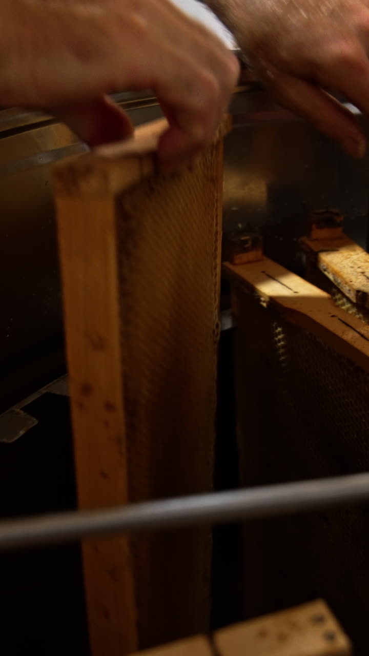 Male apiculturist putting the frames into the centrifuge apparatus for honey extraction. Gathering organic product at apiary. Vertical video