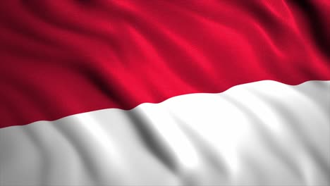 flag of indonesia