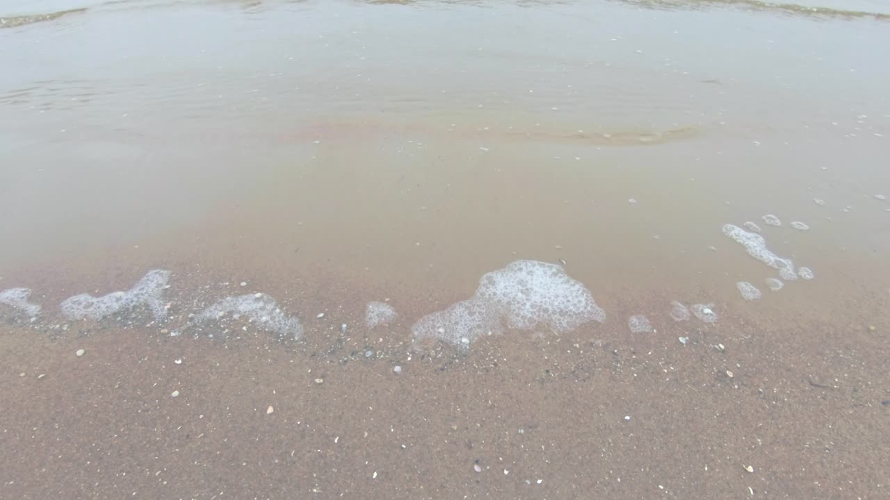 automn에서 발트해의 라트비아 해안의 배경 및 그래픽 샷