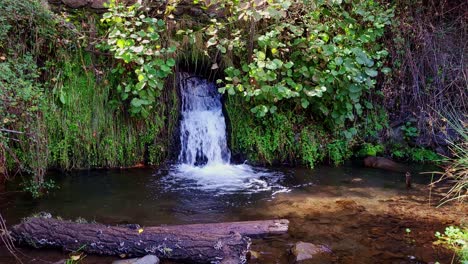 Wasserfall-Im-Wald-Neben-Einem-Bach-Und-Einem-Umgestürzten-Baum