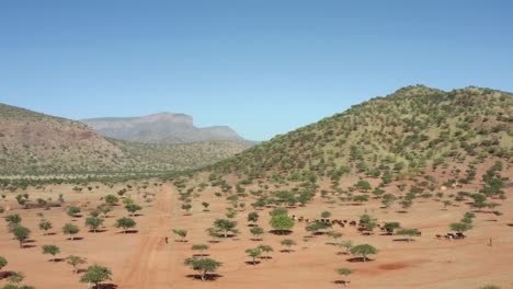 this is the arid region of northern namibia
