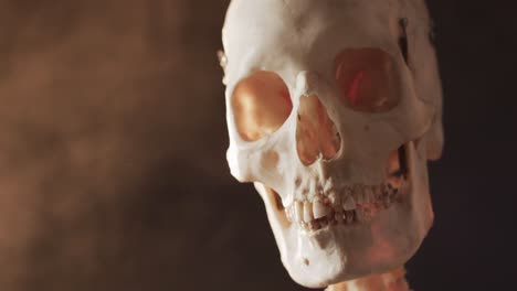 Vídeo-De-Primer-Plano-Del-Cráneo-Y-Esqueleto-De-Halloween-Y-Espacio-De-Copia-Sobre-Fondo-Negro