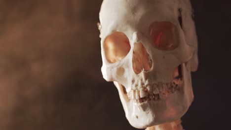 video de primer plano de la calavera y el esqueleto de halloween y copia el espacio sobre fondo negro