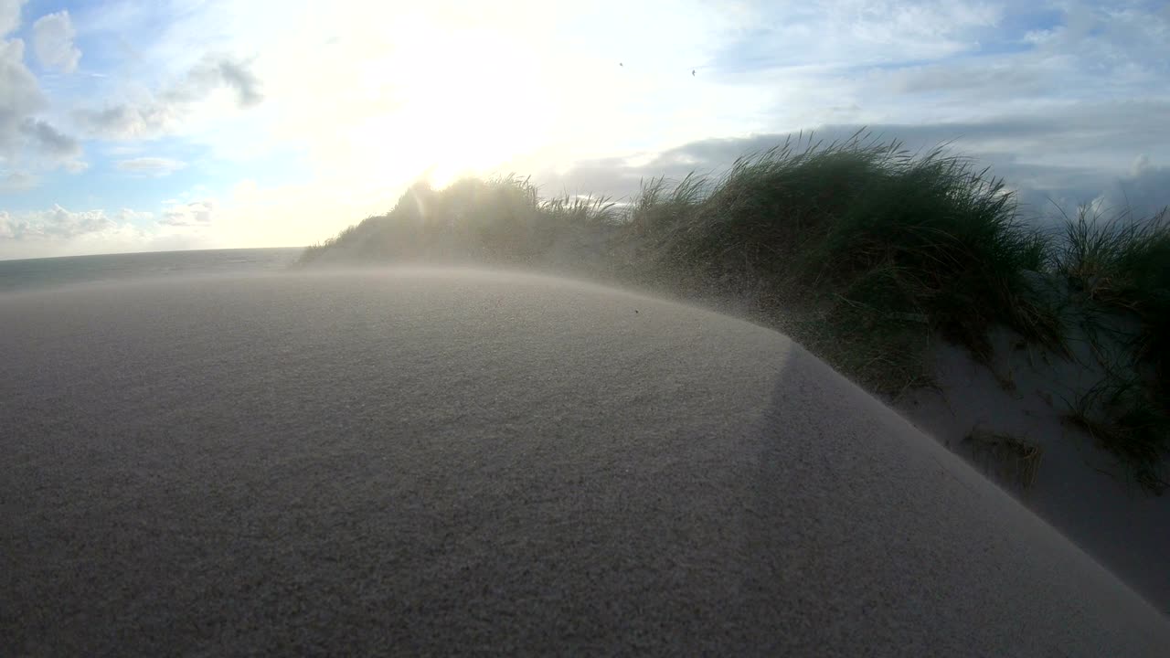 Sand dunes with dune grass in the storm of the North Sea, hiking dunes, dike protection, Sondervig, Jutland, Denmark, 4k