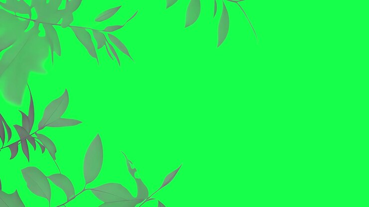 Leaf shadow animation, transparent 4K video, green screen