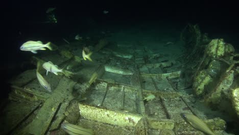 Airplane-wreckage-underwater-at-night