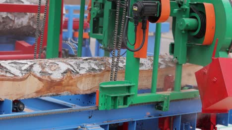 work of the sawmill in close-up. process of machining logs in equipment sawmill machine saw saws the tree trunk on the plank boards.