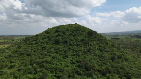 green and vivid forested hill in southern kenya, africa