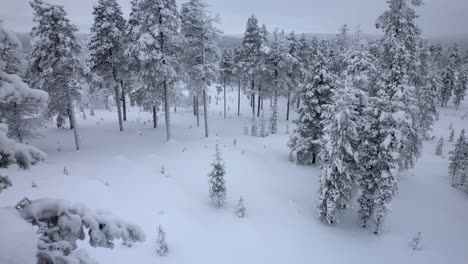 drone descends into scenic winter wonderland in lapland, finland, arctic circle