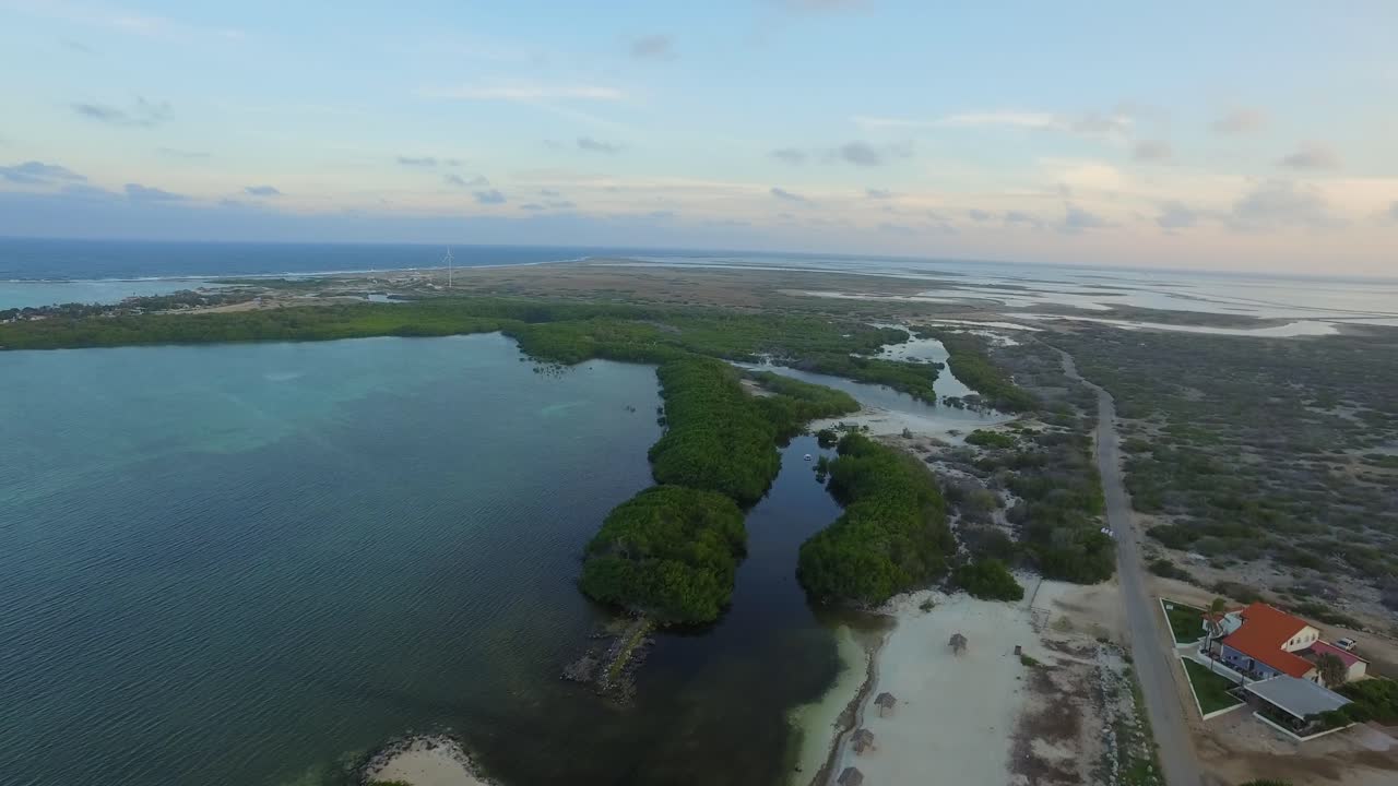 la laguna y los manglares de lac bay en bonaire, antillas holandesas