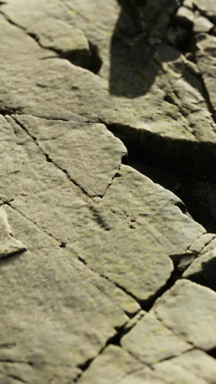 Studying role of light in revealing weathered stone imperfections and moss