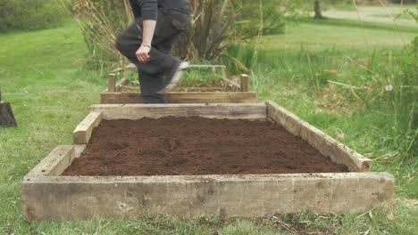 joven jardinero que cubre las patatas de siembra en una cama de jardín elevada