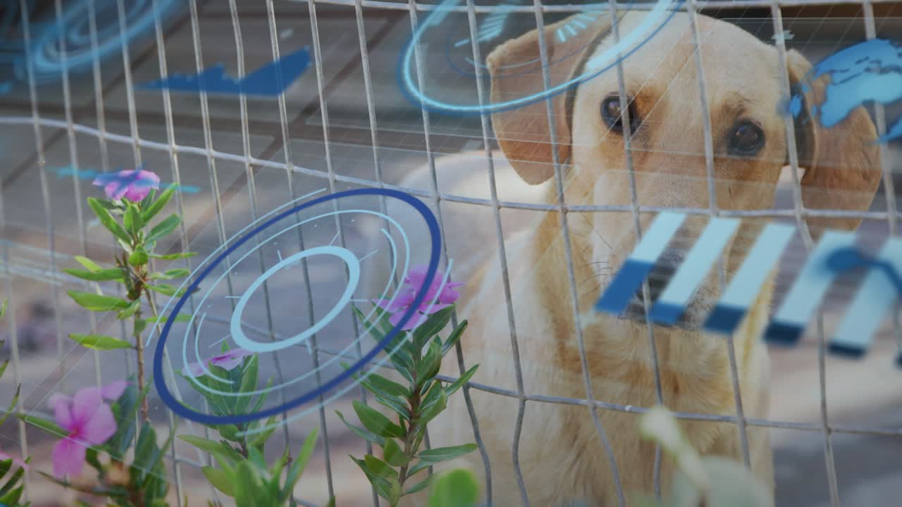 Blue overlay appearing over brown dog behind fence near purple flowers receiving pulsing scan