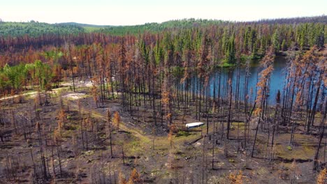 drone flyover in an area after the biggest forest fire in the history of the province of quebec