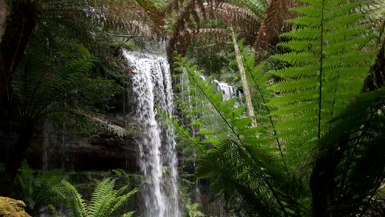 tilt down shot of russell falls in tasmania