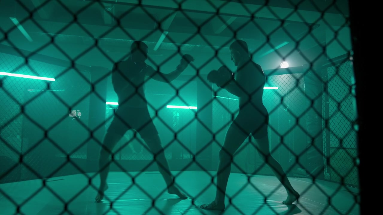 Silhouettes of Two Fighters Preparing to Spar in a Green-Lit Cage