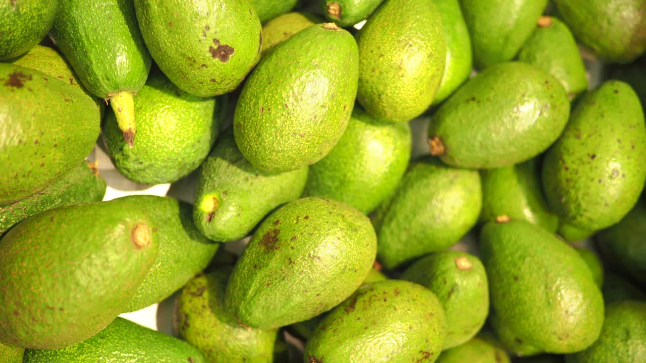 Pila di avocado freschi
