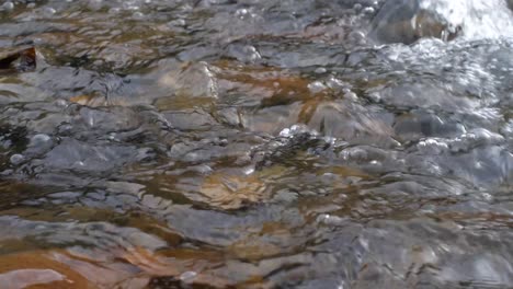 close up of flowing river water foam